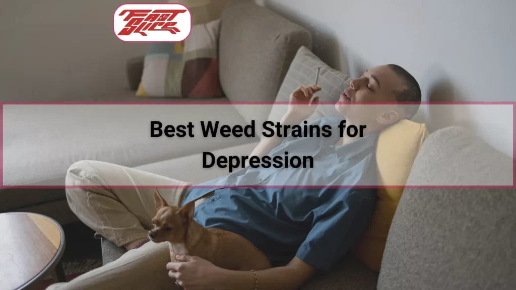 Best Weed Strains for Depression