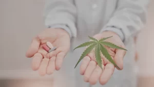 Best Weed Strains for Pain Relief 2