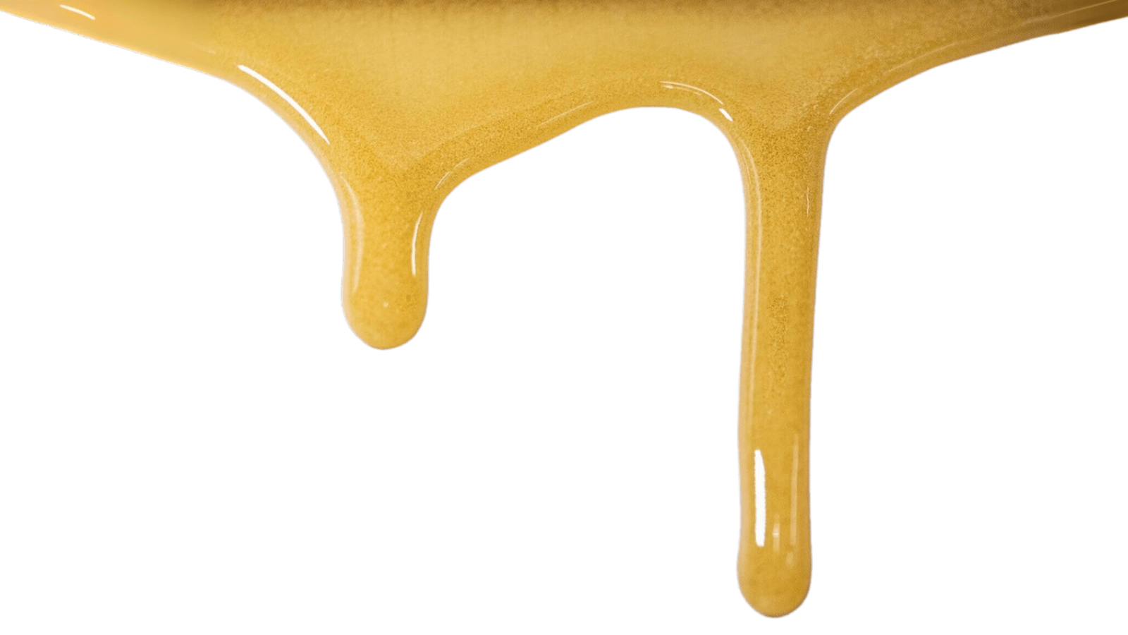 Different Types Of Wax Dabs: