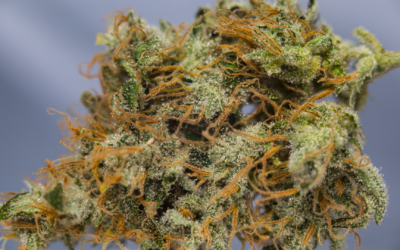 The Best Weed Strains for Energy