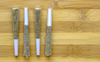 Pre-Rolled Joints – Exploring the Art of Joint Rolling