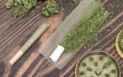 Pre-Rolls 101: Everything You Need to Know About Ready-to-Smoke Joints